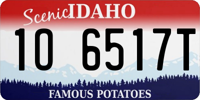 ID license plate 1O6517T