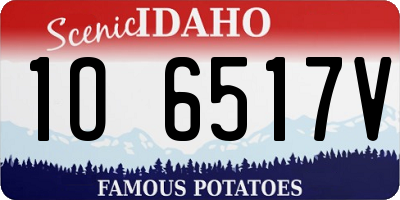 ID license plate 1O6517V