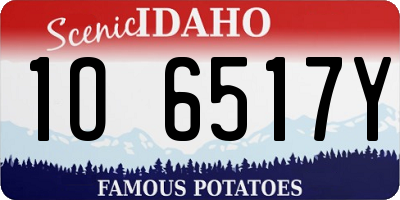 ID license plate 1O6517Y