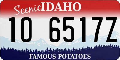 ID license plate 1O6517Z