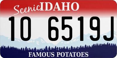 ID license plate 1O6519J