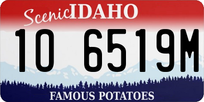 ID license plate 1O6519M