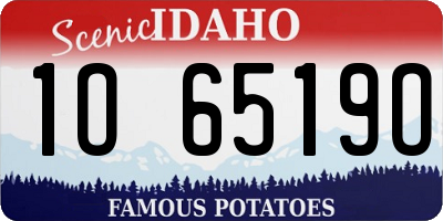 ID license plate 1O6519O