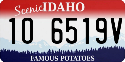 ID license plate 1O6519V