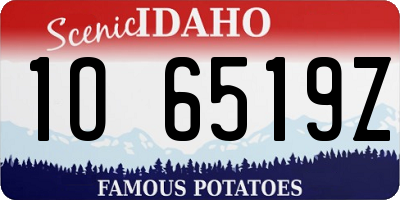 ID license plate 1O6519Z