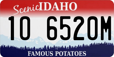 ID license plate 1O6520M