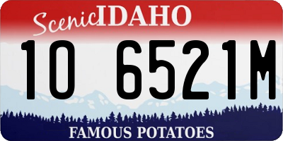 ID license plate 1O6521M