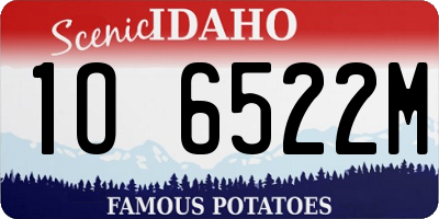 ID license plate 1O6522M