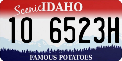 ID license plate 1O6523H