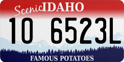 ID license plate 1O6523L