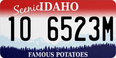 ID license plate 1O6523M