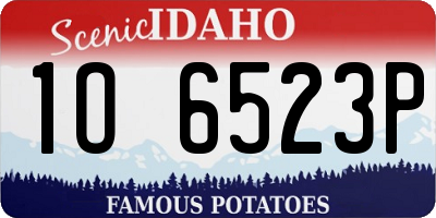 ID license plate 1O6523P