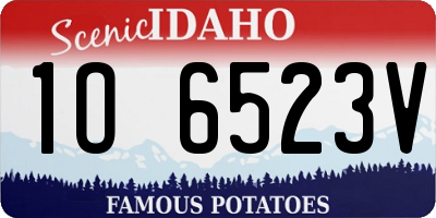 ID license plate 1O6523V