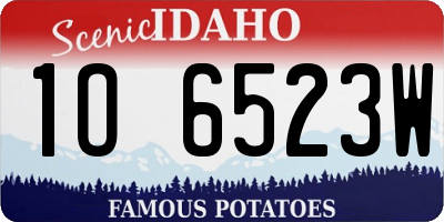 ID license plate 1O6523W