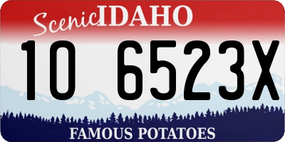 ID license plate 1O6523X
