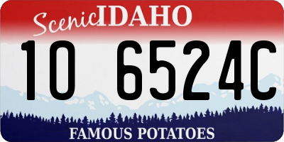 ID license plate 1O6524C