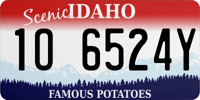 ID license plate 1O6524Y