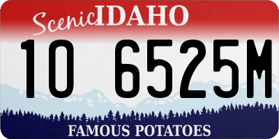 ID license plate 1O6525M