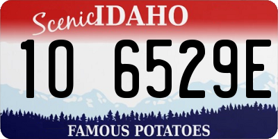 ID license plate 1O6529E