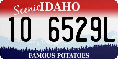 ID license plate 1O6529L