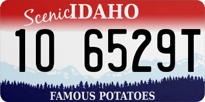 ID license plate 1O6529T