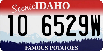 ID license plate 1O6529W