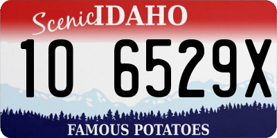 ID license plate 1O6529X