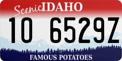 ID license plate 1O6529Z