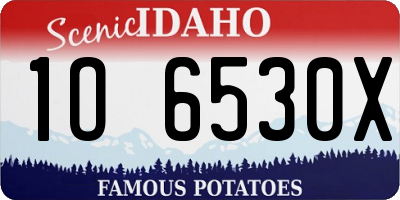 ID license plate 1O6530X