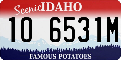 ID license plate 1O6531M