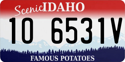 ID license plate 1O6531V