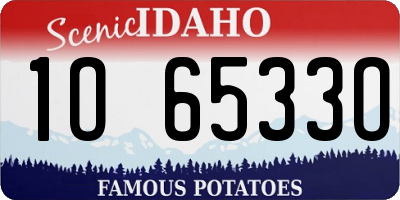 ID license plate 1O6533O