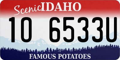 ID license plate 1O6533U
