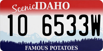 ID license plate 1O6533W