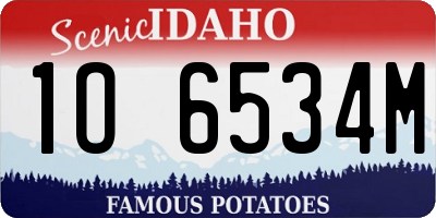 ID license plate 1O6534M