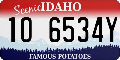 ID license plate 1O6534Y