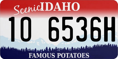 ID license plate 1O6536H