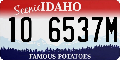 ID license plate 1O6537M