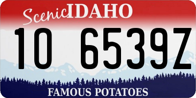 ID license plate 1O6539Z