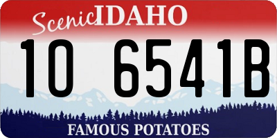 ID license plate 1O6541B