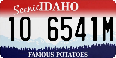 ID license plate 1O6541M
