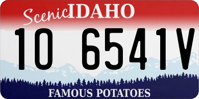 ID license plate 1O6541V
