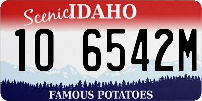 ID license plate 1O6542M