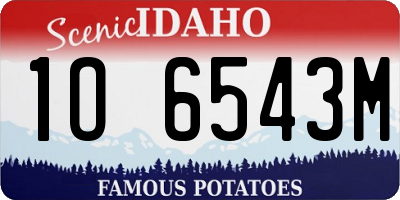 ID license plate 1O6543M