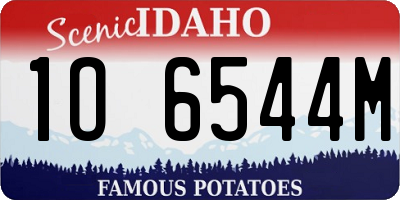 ID license plate 1O6544M