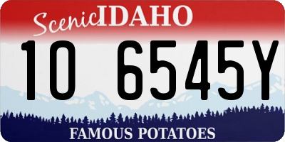 ID license plate 1O6545Y