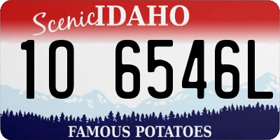 ID license plate 1O6546L