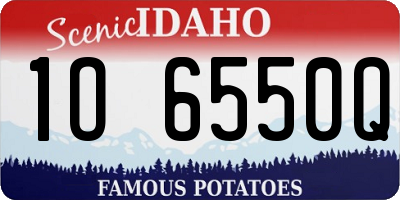 ID license plate 1O6550Q