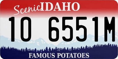 ID license plate 1O6551M