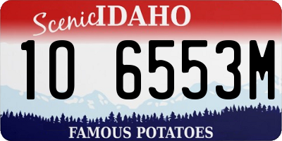ID license plate 1O6553M